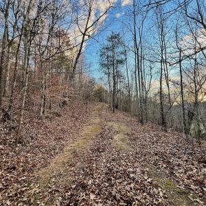 Photo #80 of 2743 Johnson School Road, Thaxton, VA 154.6 acres