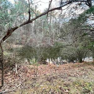 Photo #83 of 2743 Johnson School Road, Thaxton, VA 154.6 acres