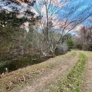 Photo #84 of 2743 Johnson School Road, Thaxton, VA 154.6 acres