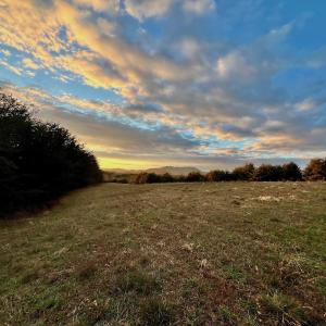 Photo #81 of 2743 Johnson School Road, Thaxton, VA 154.6 acres