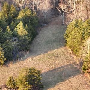 Photo #85 of 2743 Johnson School Road, Thaxton, VA 154.6 acres