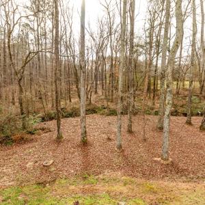 Photo #52 of SOLD property in 1610 Rogers Pointe Lane, Creedmoor, NC 0.3 acres
