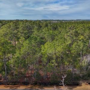 Photo #2 of SOLD property in Off Horne Rd, Lowland, NC 3.1 acres