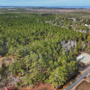Photo #15 of SOLD property in Off Horne Rd, Lowland, NC 3.1 acres
