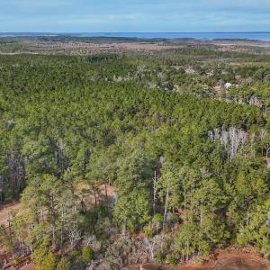 Photo #16 of SOLD property in Off Horne Rd, Lowland, NC 3.1 acres