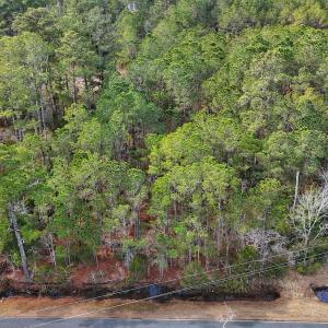 Photo #18 of SOLD property in Off Horne Rd, Lowland, NC 3.1 acres