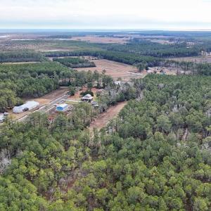 Photo #19 of SOLD property in Off Horne Rd, Lowland, NC 3.1 acres