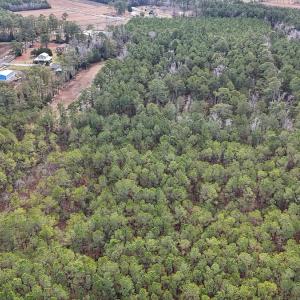 Photo #20 of SOLD property in Off Horne Rd, Lowland, NC 3.1 acres
