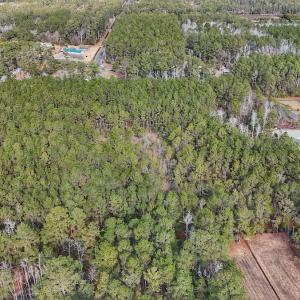 Photo #21 of SOLD property in Off Horne Rd, Lowland, NC 3.1 acres