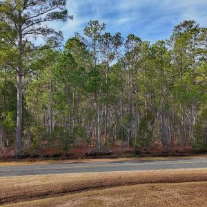 Photo #25 of SOLD property in Off Horne Rd, Lowland, NC 3.1 acres