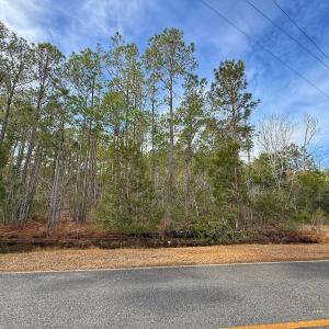 Photo #26 of SOLD property in Off Horne Rd, Lowland, NC 3.1 acres