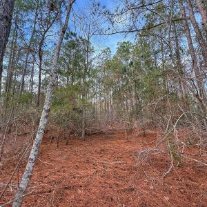Photo #29 of SOLD property in Off Horne Rd, Lowland, NC 3.1 acres