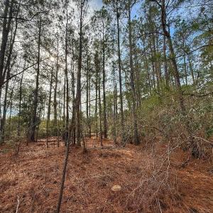 Photo #30 of SOLD property in Off Horne Rd, Lowland, NC 3.1 acres
