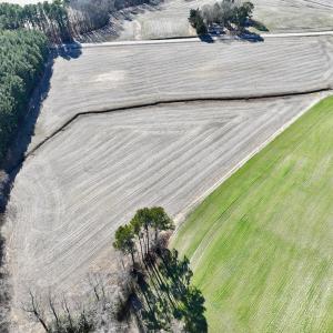 Photo #11 of 7723 East Langley Road, Elm City, NC 24.1 acres