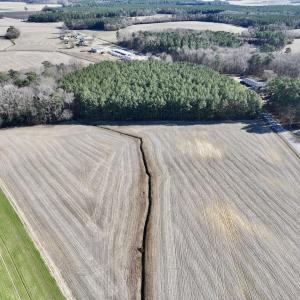 Photo #13 of 7723 East Langley Road, Elm City, NC 24.1 acres