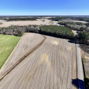 Photo #14 of 7723 East Langley Road, Elm City, NC 24.1 acres
