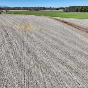 Photo #16 of 7723 East Langley Road, Elm City, NC 24.1 acres