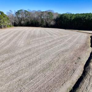 Photo #17 of 7723 East Langley Road, Elm City, NC 24.1 acres