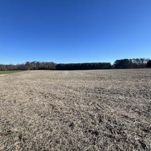 Photo #18 of 7723 East Langley Road, Elm City, NC 24.1 acres
