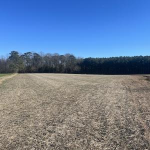 Photo #19 of 7723 East Langley Road, Elm City, NC 24.1 acres
