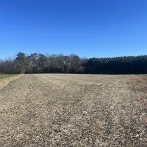Photo #20 of 7723 East Langley Road, Elm City, NC 24.1 acres