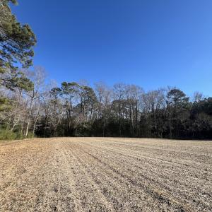 Photo #21 of 7723 East Langley Road, Elm City, NC 24.1 acres