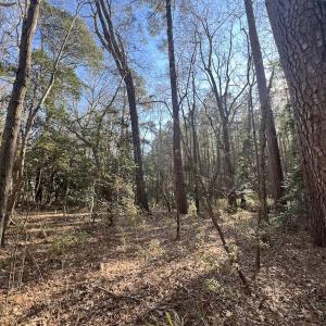 Photo #24 of 7723 East Langley Road, Elm City, NC 24.1 acres
