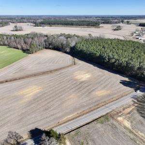 Photo #3 of 7723 East Langley Road, Elm City, NC 24.1 acres