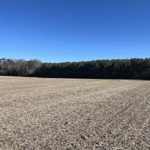 Photo #33 of 7723 East Langley Road, Elm City, NC 24.1 acres