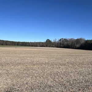 Photo #34 of 7723 East Langley Road, Elm City, NC 24.1 acres
