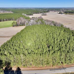 Photo #5 of 7723 East Langley Road, Elm City, NC 24.1 acres