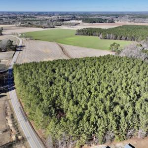 Photo #6 of 7723 East Langley Road, Elm City, NC 24.1 acres