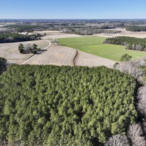 Photo #7 of 7723 East Langley Road, Elm City, NC 24.1 acres