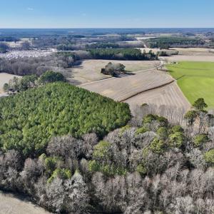 Photo #8 of 7723 East Langley Road, Elm City, NC 24.1 acres