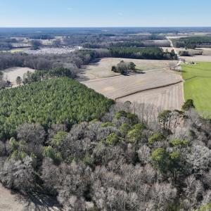 Photo #9 of 7723 East Langley Road, Elm City, NC 24.1 acres