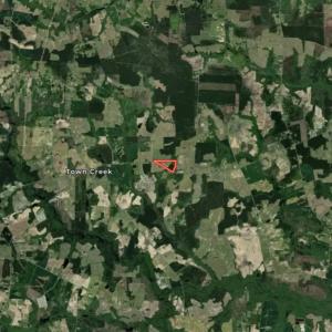 Photo #36 of 7723 East Langley Road, Elm City, NC 24.1 acres