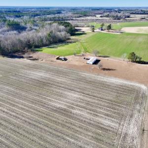 Photo #11 of SOLD property in Off Town Creek Road, Elm City, NC 7.8 acres