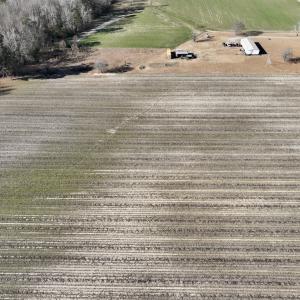 Photo #13 of SOLD property in Off Town Creek Road, Elm City, NC 7.8 acres