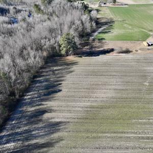 Photo #14 of SOLD property in Off Town Creek Road, Elm City, NC 7.8 acres