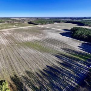 Photo #16 of SOLD property in Off Town Creek Road, Elm City, NC 7.8 acres