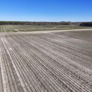 Photo #18 of SOLD property in Off Town Creek Road, Elm City, NC 7.8 acres
