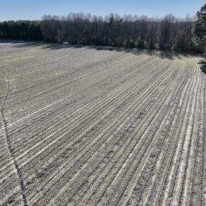 Photo #19 of SOLD property in Off Town Creek Road, Elm City, NC 7.8 acres