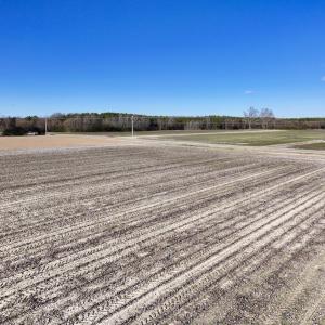Photo #20 of SOLD property in Off Town Creek Road, Elm City, NC 7.8 acres