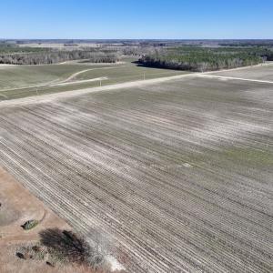 Photo #4 of SOLD property in Off Town Creek Road, Elm City, NC 7.8 acres