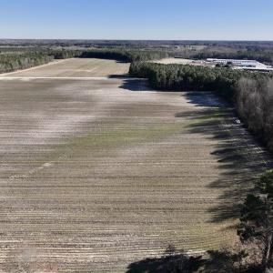 Photo #5 of SOLD property in Off Town Creek Road, Elm City, NC 7.8 acres