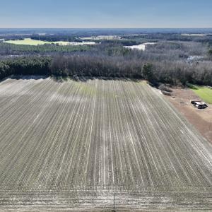 Photo #9 of SOLD property in Off Town Creek Road, Elm City, NC 7.8 acres