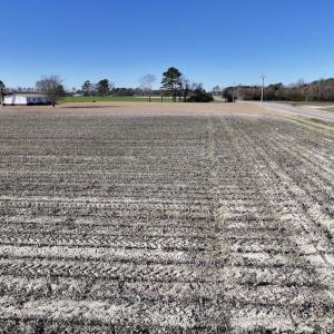 Photo #21 of SOLD property in Off Town Creek Road, Elm City, NC 7.8 acres