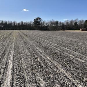 Photo #22 of SOLD property in Off Town Creek Road, Elm City, NC 7.8 acres