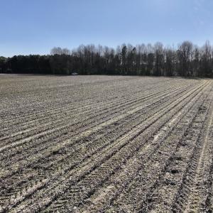 Photo #23 of SOLD property in Off Town Creek Road, Elm City, NC 7.8 acres