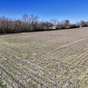 Photo #11 of Off Town Creek Road, Elm City, NC 6.8 acres
